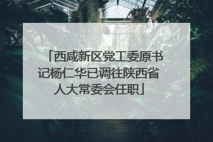 西咸新区党工委原书记杨仁华已调往陕西省人大常委会任职