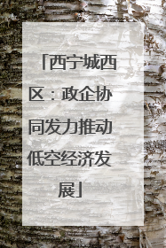 西宁城西区：政企协同发力推动低空经济发展