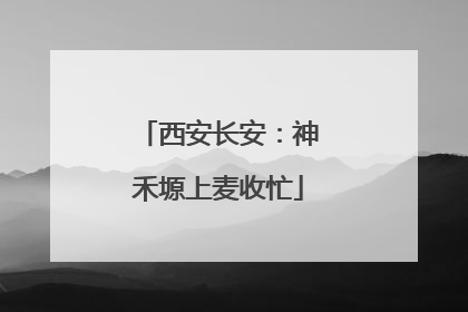 西安长安：神禾塬上麦收忙