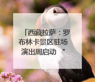 西藏拉萨：罗布林卡景区驻场演出周启动 “家门口”享文化盛宴