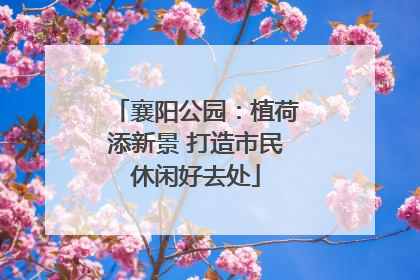 襄阳公园：植荷添新景 打造市民休闲好去处