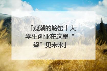 观潮的螃蟹丨大学生创业在这里“望”见未来