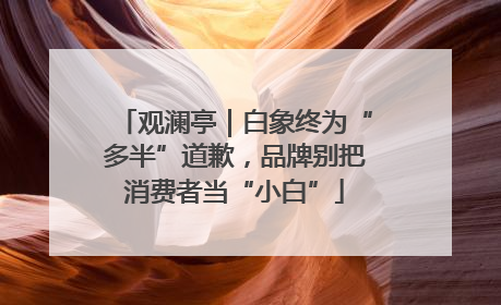 观澜亭｜白象终为“多半”道歉，品牌别把消费者当“小白”