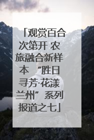 观赏百合次第开 农旅融合新样本 “胜日寻芳·花漾兰州”系列报道之七