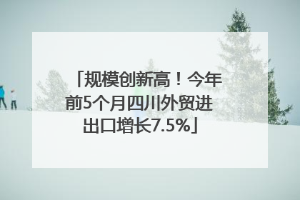 规模创新高！今年前5个月四川外贸进出口增长7.5%