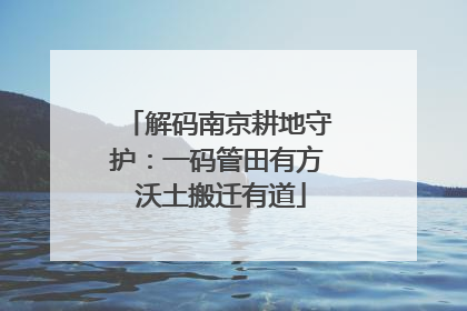 解码南京耕地守护：一码管田有方 沃土搬迁有道