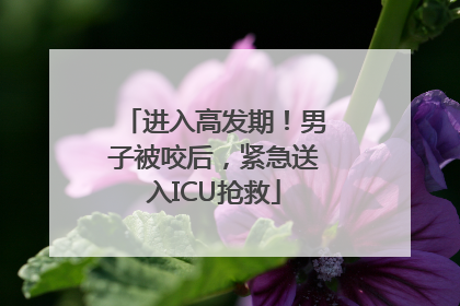进入高发期！男子被咬后，紧急送入ICU抢救