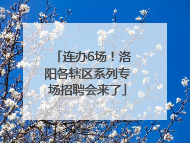 连办6场！洛阳各辖区系列专场招聘会来了