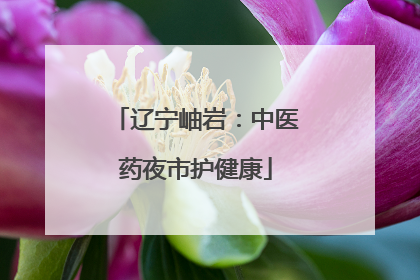 辽宁岫岩：中医药夜市护健康