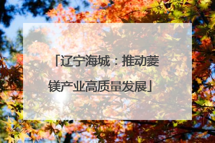 辽宁海城：推动菱镁产业高质量发展