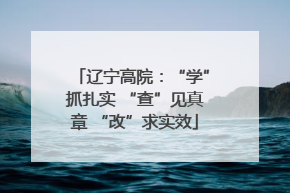 辽宁高院：“学”抓扎实 “查”见真章 “改”求实效