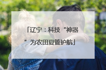 辽宁：科技“神器”为农田夏管护航