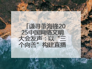 谦寻董海锋2025中国网络文明大会发声：以“三个向善”构建直播电商善意长河