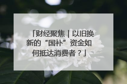 财经聚焦｜以旧换新的“国补”资金如何抵达消费者？