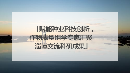 赋能种业科技创新，作物表型组学专家汇聚淄博交流科研成果