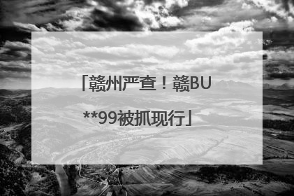 赣州严查！赣BU**99被抓现行