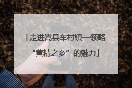 走进嵩县车村镇—领略“黄精之乡”的魅力