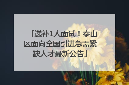 递补1人面试！泰山区面向全国引进急需紧缺人才最新公告