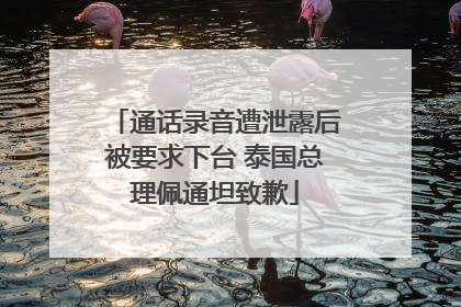 通话录音遭泄露后被要求下台 泰国总理佩通坦致歉