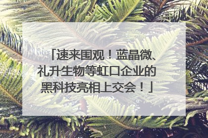 速来围观！蓝晶微、礼升生物等虹口企业的黑科技亮相上交会！