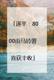遂平：8000亩马铃薯喜获丰收