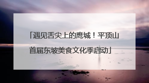 遇见舌尖上的鹰城！平顶山首届东坡美食文化季启动