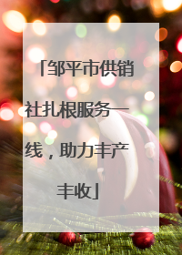 邹平市供销社扎根服务一线，助力丰产丰收