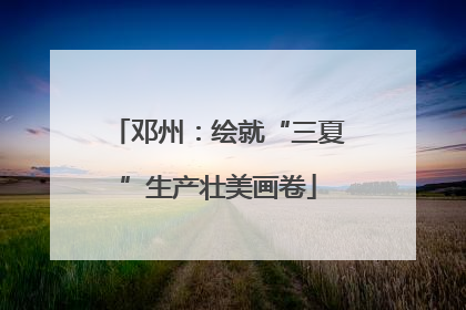 邓州：绘就“三夏”生产壮美画卷