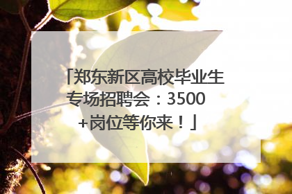郑东新区高校毕业生专场招聘会：3500+岗位等你来！