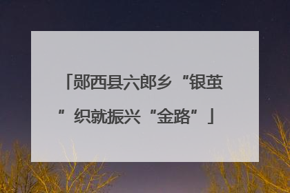 郧西县六郎乡“银茧”织就振兴“金路”