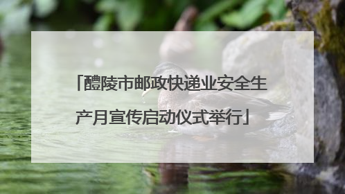 醴陵市邮政快递业安全生产月宣传启动仪式举行