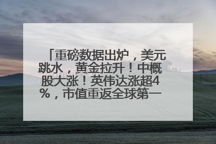 重磅数据出炉，美元跳水，黄金拉升！中概股大涨！英伟达涨超4%，市值重返全球第一！黄仁勋计划出售至多600万股股票