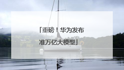 重磅！华为发布准万亿大模型