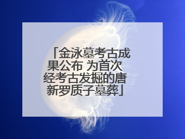 金泳墓考古成果公布 为首次经考古发掘的唐新罗质子墓葬