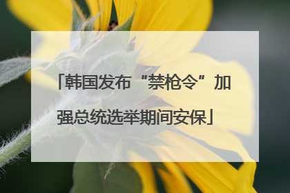 韩国发布“禁枪令”加强总统选举期间安保