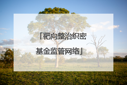 靶向整治织密基金监管网络