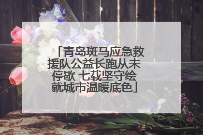 青岛斑马应急救援队公益长跑从未停歇 七载坚守绘就城市温暖底色