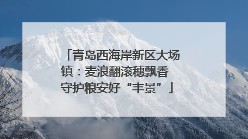 青岛西海岸新区大场镇：麦浪翻滚穗飘香 守护粮安好“丰景”