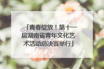 青春绽放！第十一届湖南省青年文化艺术活动总决赛举行