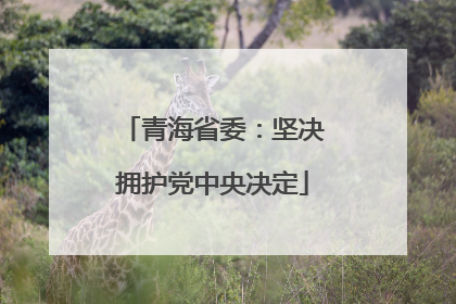 青海省委：坚决拥护党中央决定