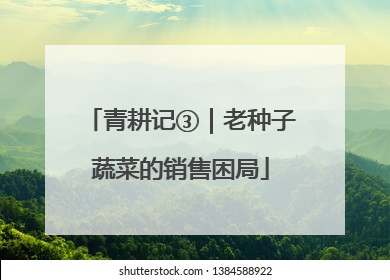 青耕记③｜老种子蔬菜的销售困局