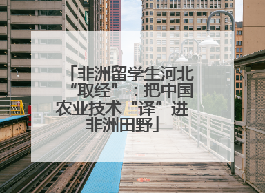 非洲留学生河北“取经”：把中国农业技术“译”进非洲田野