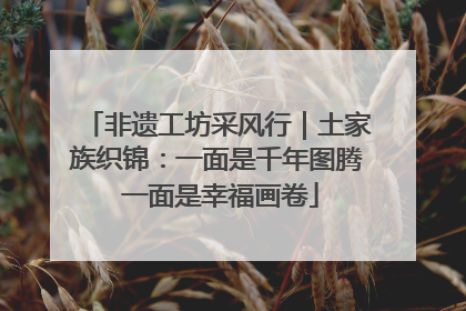 非遗工坊采风行｜土家族织锦：一面是千年图腾 一面是幸福画卷
