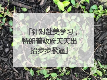 针对赴美学习，特朗普政府天天出招步步紧逼
