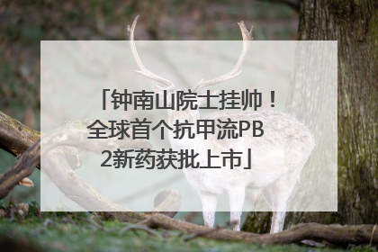 钟南山院士挂帅！全球首个抗甲流PB2新药获批上市