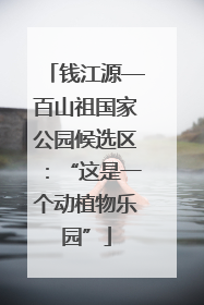 钱江源—百山祖国家公园候选区：“这是一个动植物乐园”