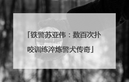 铁警苏亚伟：数百次扑咬训练淬炼警犬传奇