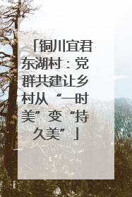 铜川宜君东湖村：党群共建让乡村从“一时美”变“持久美”