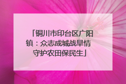 铜川市印台区广阳镇：众志成城战旱情 守护农田保民生