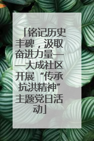 铭记历史丰碑，汲取奋进力量——大成社区开展“传承抗洪精神”主题党日活动